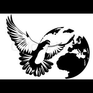 Meet your Posher, Zaid